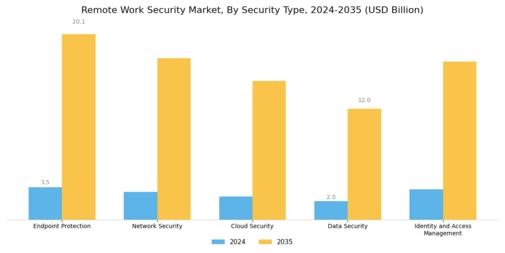 Remote Work Security Market Segment Image 0