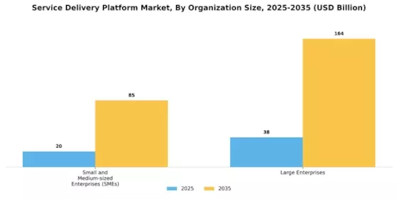 Service Delivery Platform Market Segment Image 2