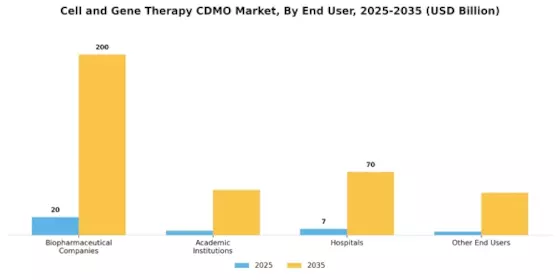 Cell Gene Therapy CDMO Market Segment Image 3