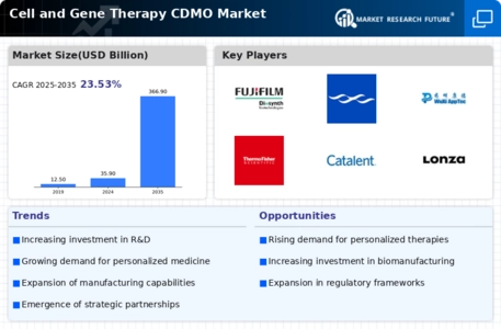Cell Gene Therapy CDMO Market Infographic