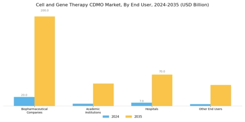 Cell Gene Therapy CDMO Market Segment Image 3