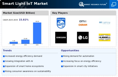 Smart Light IoT Market Infographic