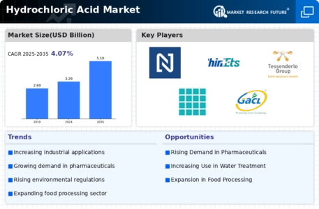 Hydrochloric Acid Market Infographic