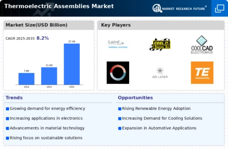 Thermoelectric Assemblies Market Infographic