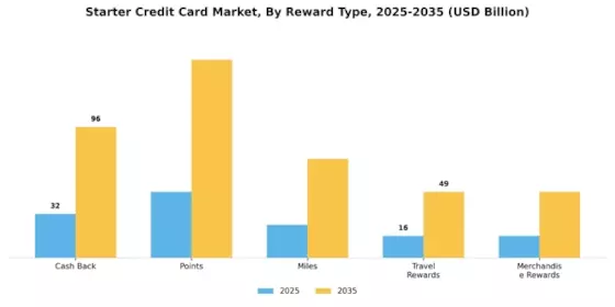 Starter Credit Card Market Segment Image 2