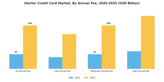 Starter Credit Card Market Segment Image 3