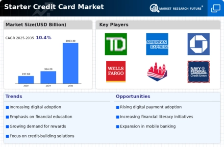 Starter Credit Card Market Infographic