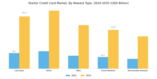 Starter Credit Card Market Segment Image 2