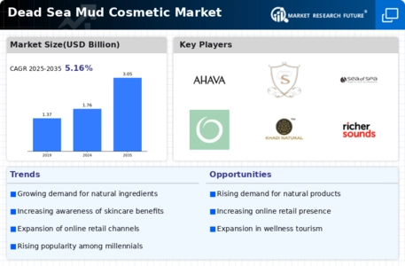 Dead Sea Mud Cosmetic Market Infographic