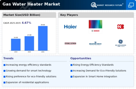 Gas Water Heater Market Infographic