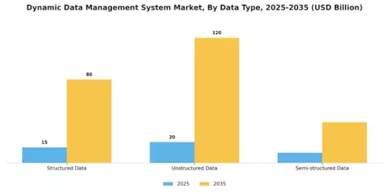 Dynamic Data Management System Market
 Segment Image 1