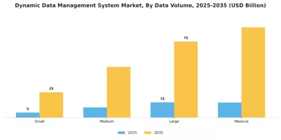 Dynamic Data Management System Market
 Segment Image 2