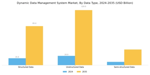 Dynamic Data Management System Market
 Segment Image 1