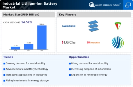 Industrial Lithium ion Battery Market Infographic