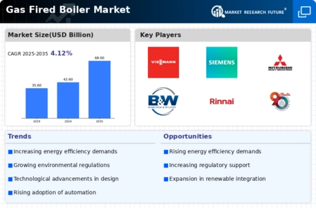 Gas Fired Boiler Market Infographic