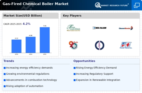 Gas Fired Chemical Boiler Market Infographic