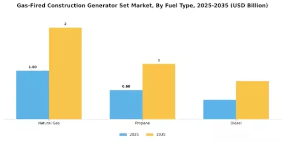 Gas Fired Construction Generator Set Market Segment Image 0