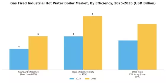 Gas Fired Industrial Hot Water Boiler Market Segment Image 2