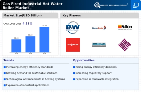 Gas Fired Industrial Hot Water Boiler Market Infographic