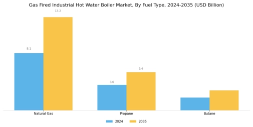 Gas Fired Industrial Hot Water Boiler Market Segment Image 0