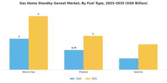 Gas Home Standby Genset Market Segment Image 0