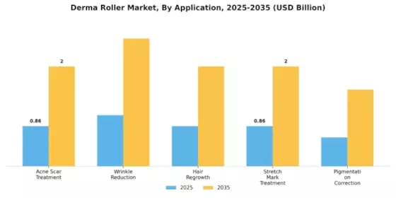 Derma Roller Market Segment Image 0