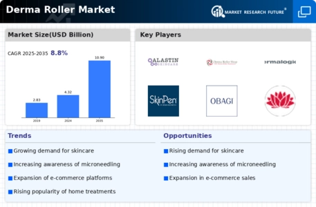 Derma Roller Market Infographic