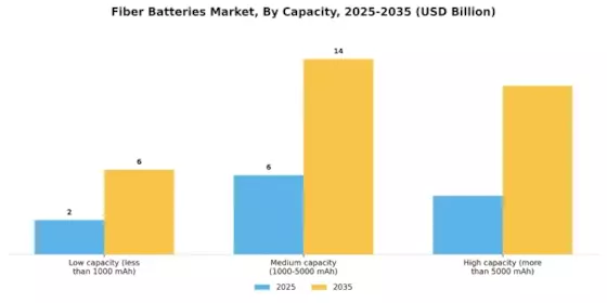 Fibre Batteries Market Segment Image 3
