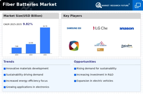 Fibre Batteries Market Infographic