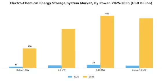 Electro Chemical Energy Storage System Market Segment Image 3
