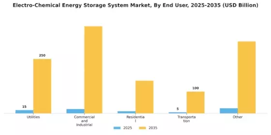 Electro Chemical Energy Storage System Market Segment Image 4