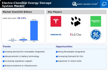 Electro Chemical Energy Storage System Market Infographic