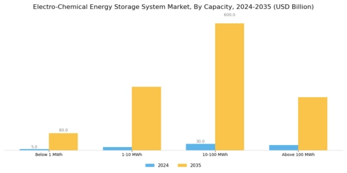 Electro Chemical Energy Storage System Market Segment Image 2