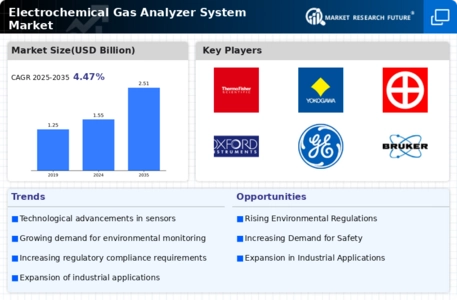 Electrochemical Gas Analyzer System Market Infographic