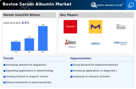 Bovine Serum Albumin Market Infographic