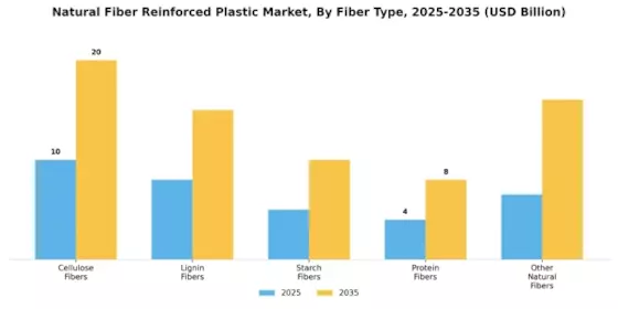 Natural Fiber Reinforced Plastic Market Segment Image 0