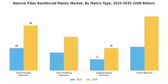 Natural Fiber Reinforced Plastic Market Segment Image 1
