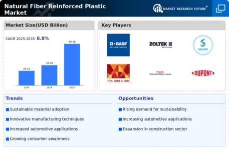 Natural Fiber Reinforced Plastic Market Infographic