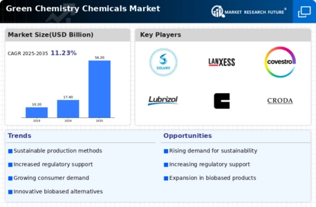 Green Chemistry Chemicals Market
 Infographic