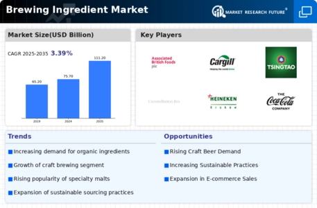 Brewing Ingredient Market Infographic