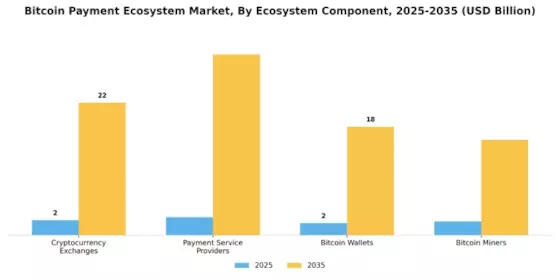 Bitcoin Payment Ecosystem Market Segment Image 2