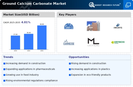 Ground Calcium Carbonate Market
 Infographic