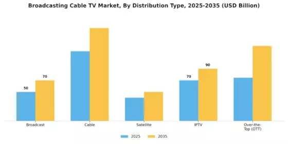 Broadcasting  Cable TV Market Segment Image 0