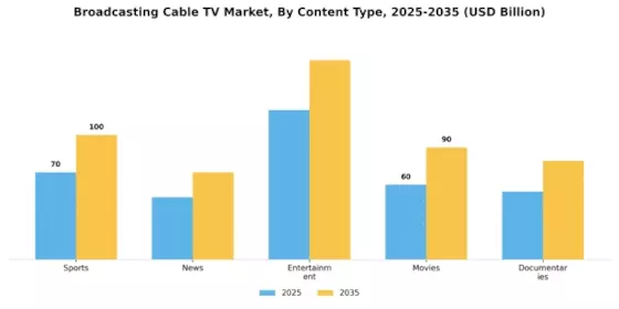 Broadcasting  Cable TV Market Segment Image 1
