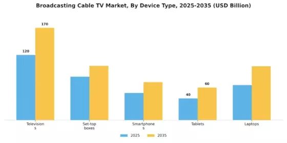 Broadcasting  Cable TV Market Segment Image 3