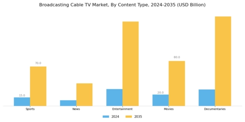 Broadcasting  Cable TV Market Segment Image 1