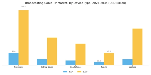 Broadcasting  Cable TV Market Segment Image 3