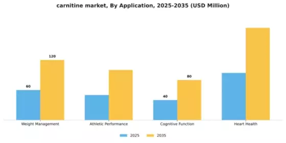 Carnitine Supplement Market Segment Image 0