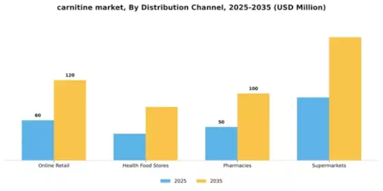 Carnitine Supplement Market Segment Image 1