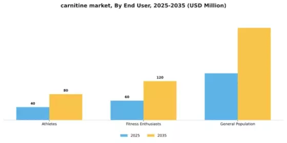 Carnitine Supplement Market Segment Image 2